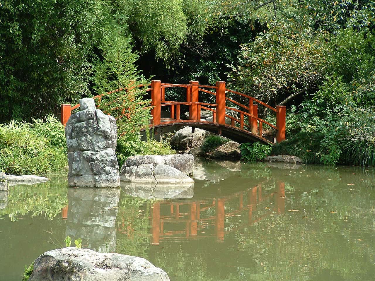a red wooden japanese bridge over water inside the botanical gardens, birmingham, england