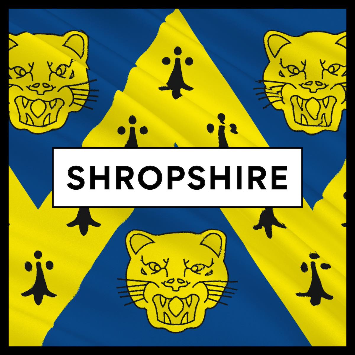 Square icon image with a black border and background image of the flag of shropshire with bold shropsire text at forefront, on a white box