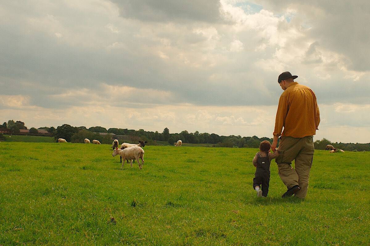 a young man and his toddler daughter walking in a field of sheep on a cloudy day