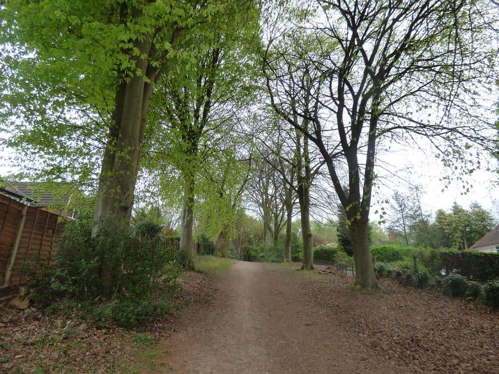 a path through wooded country park with hedges on one side and fences along the other