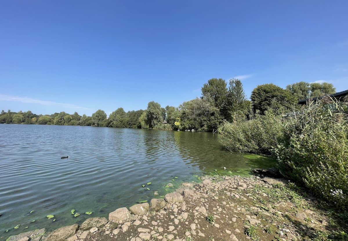 a large lake surrounded by trees and a rocky shore at the forefront