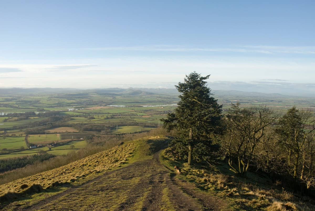 views from the peak of the wrekin looking down a slope on the way down, with trees on the right and a steep cliff slope on the left, and aerial views of vast countryside in the distance