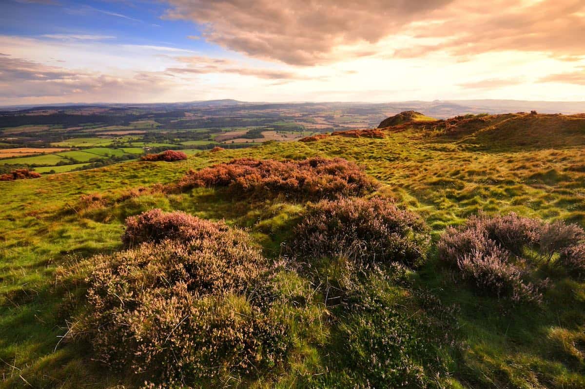 clouds looming near sunset hour over the summit of the wrekin hill, with purple shrubbery visible on the peak, and vast countryside visible in the distance