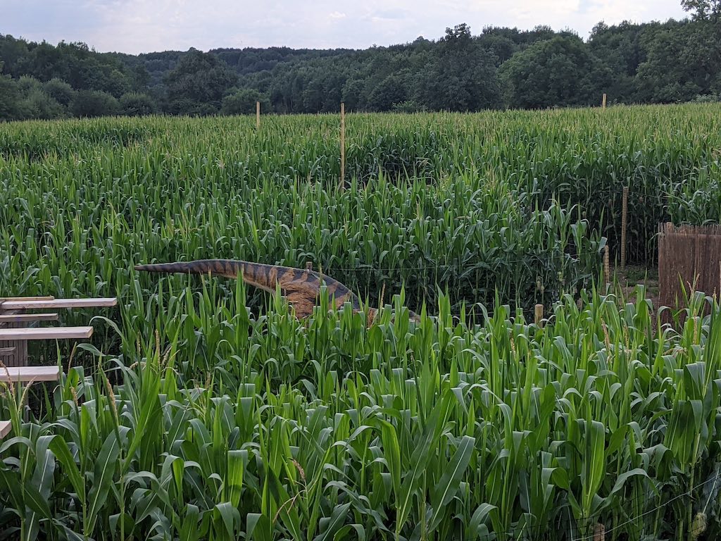 large maize field with a dinosaur figure hiding among the maize and forest in the distance