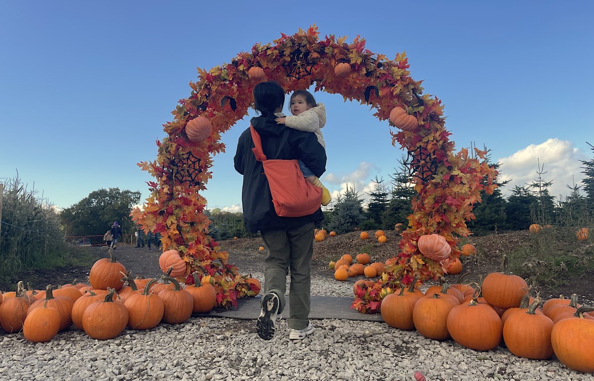 a woman carrying a toddler walking away from the camera toward a large autumnal archway decorated with leaves in red, orange nd brown hues, bats and pumpkins, while on the ground at each side are piles of large orange pumpkins, and in the distance, pumpkins lay on the ground, while tall fir trees loom at the back