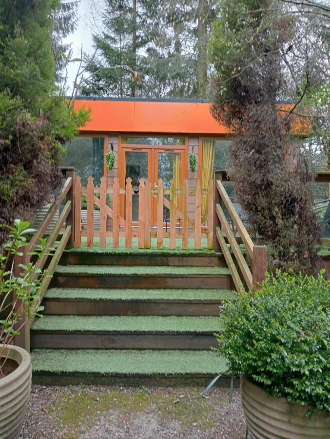 A wooden cabin with a bright orange roof, nestled in a forest area. The cabin is elevated with wooden stairs leading up to the entrance, surrounded by greenery.