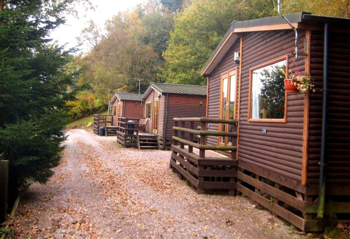 A forest cabin made of wood, positioned on a gravel path. Several similar cabins are visible in the background, surrounded by trees, creating a peaceful retreat in nature.
