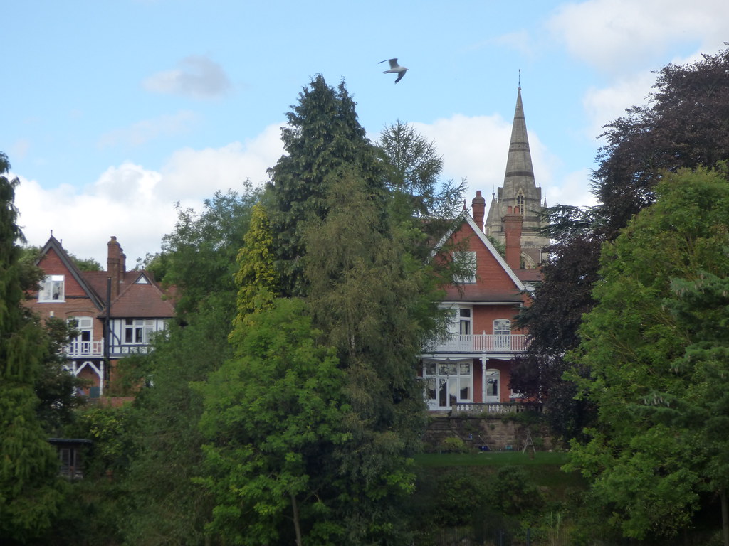 A charming suburban scene with a mix of architectural styles. In the foreground, lush green trees frame the view. Traditional English houses with red brick facades and Tudor-style elements are visible. A church spire rises above the rooftops in the background. A seagull is captured mid-flight against a blue sky with scattered clouds, adding a dynamic element to the peaceful residential setting.