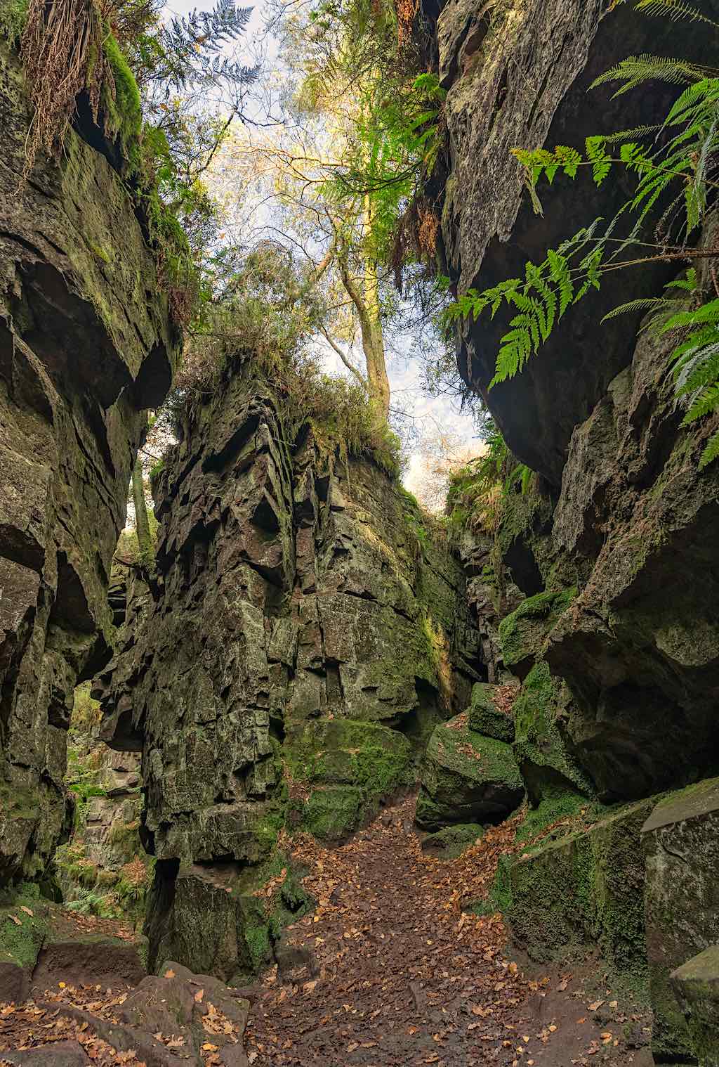 A narrow path winds through steep, moss-covered rock formations with ferns and trees growing between the crevices, creating a mystical, green-lit scene under an open sky.