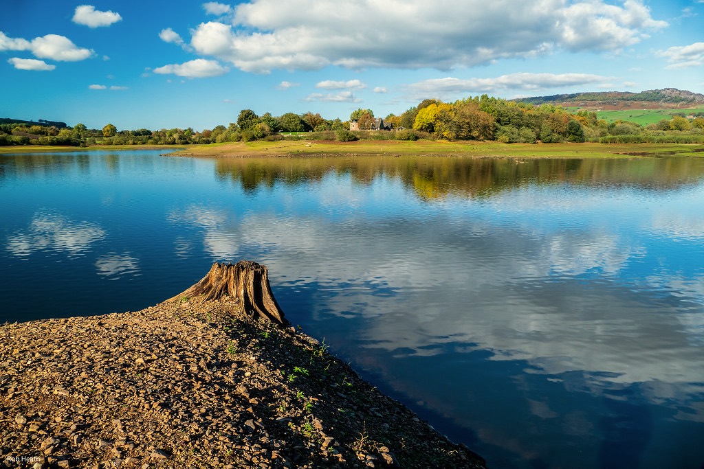 Peaceful lake scene with perfectly still water reflecting clouds and sky. A tree stump sits in the foreground on a rocky shore, with autumn trees and hills visible across the lake.