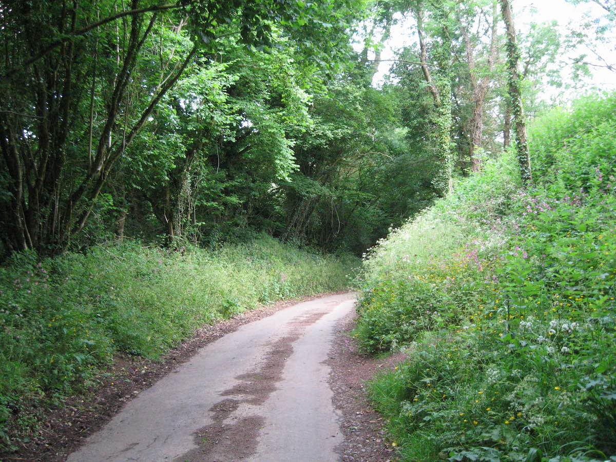 a narrow, single-lane country road winding and curving through a forested stretch of countryside in the Cotswolds