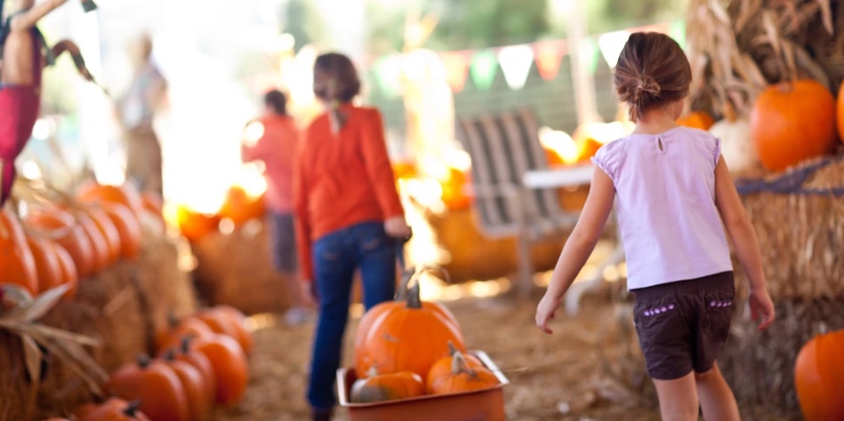 photo of some young children walkign and pulling a wheelbarrow full of orange pumpkins in a barn